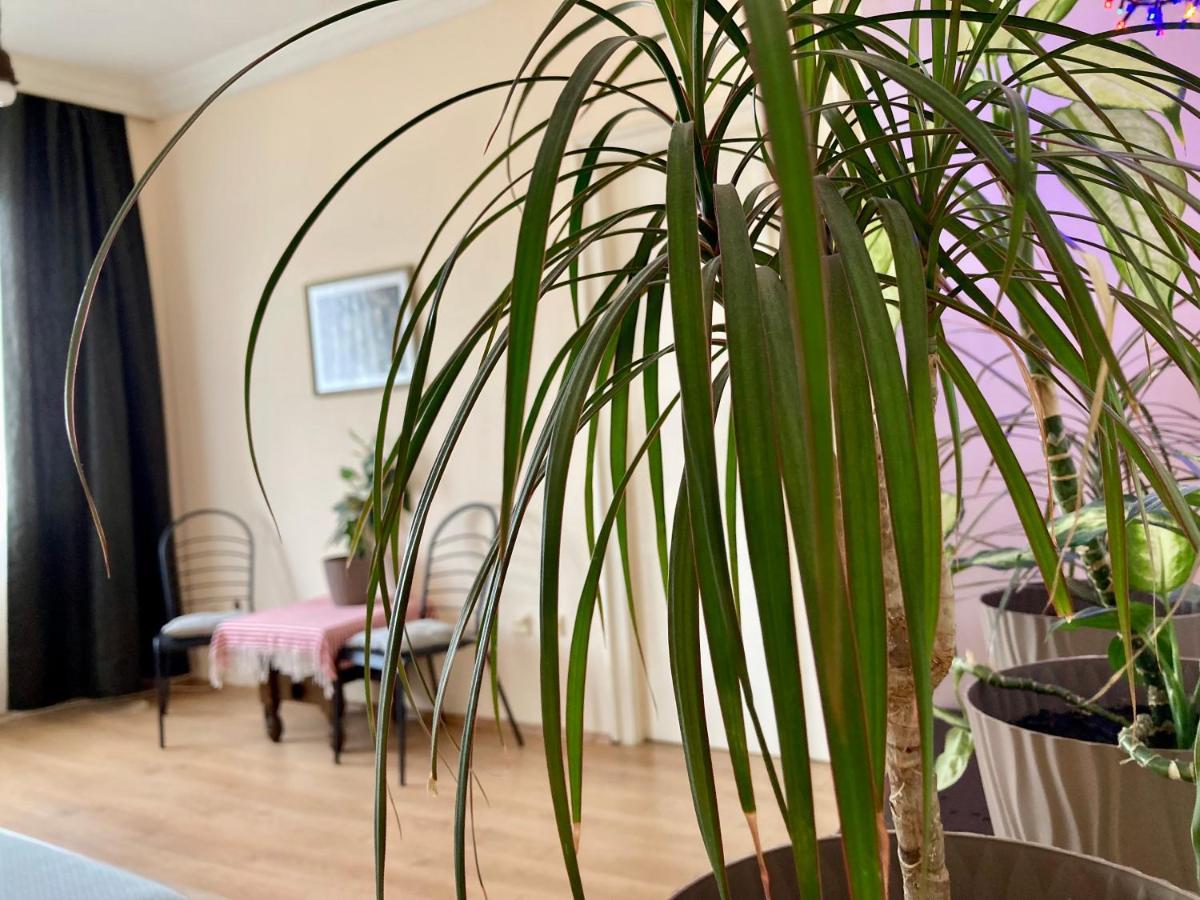 Terazije Square Lux Apartment Belgrade Extérieur photo